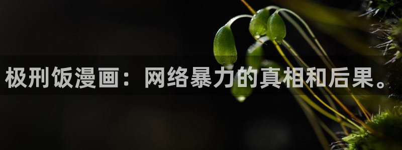 虫虫漫画免费漫画弹：极刑饭漫画：网络暴力的真相和后果。