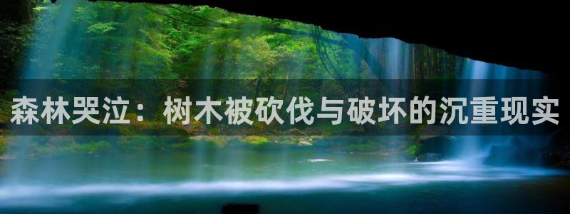 虫虫漫画无删减近在咫尺：森林哭泣：树木被砍伐与破坏的沉重现实